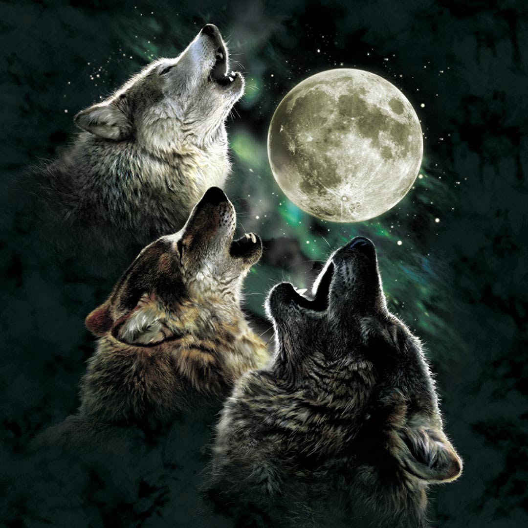 The Mountain Wolf T-Shirt Three Wolf Moon
