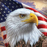 Patriotic-USA-Flagge