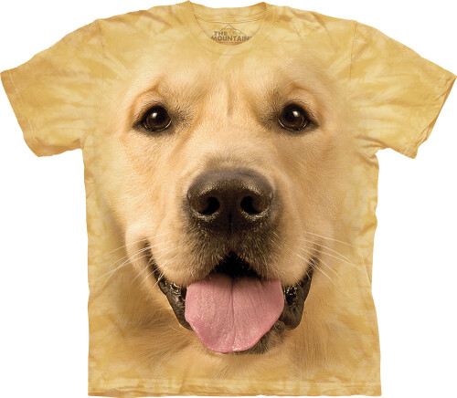 Labrador T-Shirt Big Face Golden XL