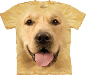 Labrador T-Shirt Big Face Golden 2XL
