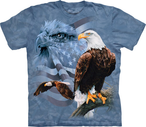 Adler T-Shirt Faded Flag and Eagles M