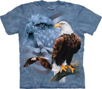 Adler T-Shirt Faded Flag and Eagles M