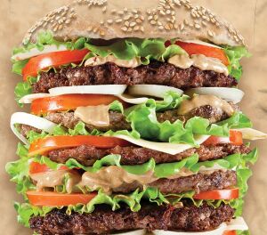 The Mountain T-Shirt Epic Burger L