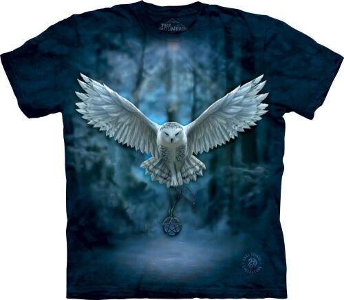 Anne Stokes T-Shirt Awake Your Magic L