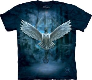 Anne Stokes T-Shirt Awake Your Magic L