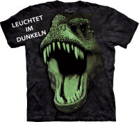 Dinosaurier Kinder T-Shirt Big Face Glow Rex