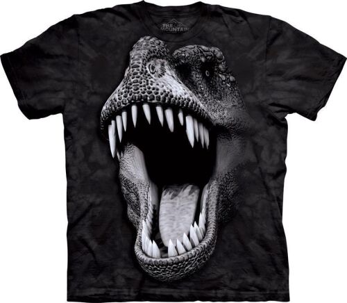 Dinosaurier Kinder T-Shirt Big Face Glow Rex S