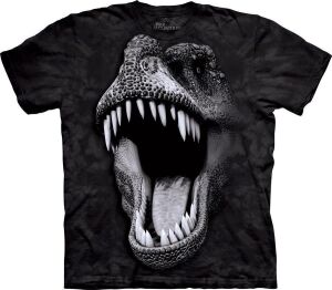 Dinosaurier Kinder T-Shirt Big Face Glow Rex S
