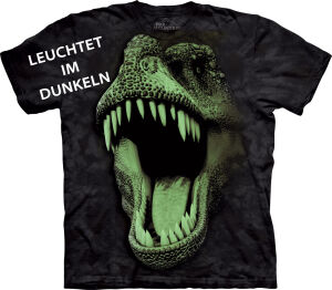 Dinosaurier Kinder T-Shirt Big Face Glow Rex S