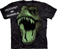 Dinosaurier Kinder T-Shirt Big Face Glow Rex S