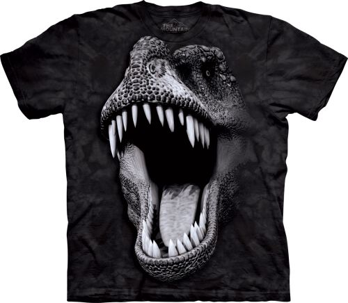 Dinosaurier Kinder T-Shirt Big Face Glow Rex M