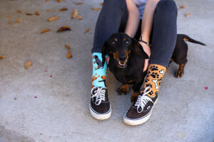 Lustige Dedoles Hunde Socken