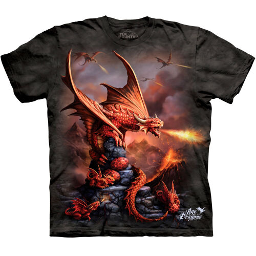 Drachen Kinder T-Shirt Fire Dragon S
