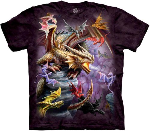 Anne Stokes T-Shirt Dragon Clan S