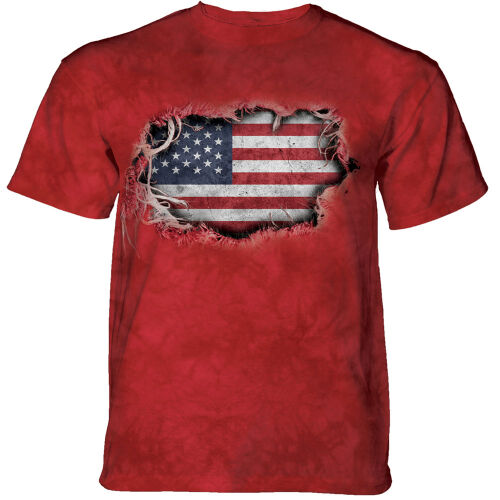 The Mountain T-Shirt Tear Thru Flag M