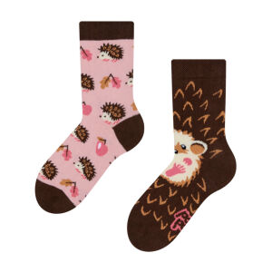 Lustige Igel Kinder Socken