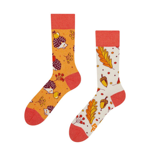 Lustige Igel im Herbst Socken