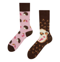 Lustige Dedoles Igel Socken