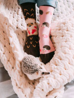 Lustige Dedoles Igel Socken