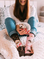 Lustige Dedoles Igel Socken