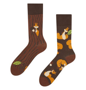 Lustige Dedoles Eichhörnchen Socken