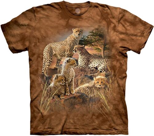 The Mountain T-Shirt The Coalition