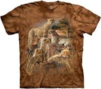 The Mountain T-Shirt The Coalition