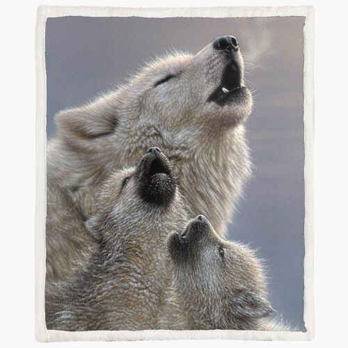 Singing Lessons Fleecedecke