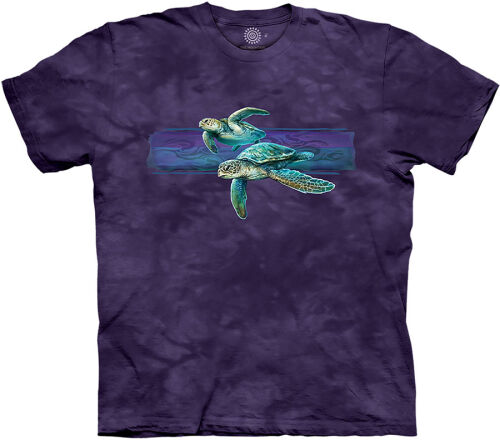 The Mountain T-Shirt Turtle Harmony Band