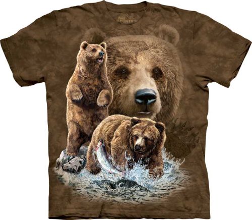 B&auml;ren T-Shirt Find 10 Brown Bears