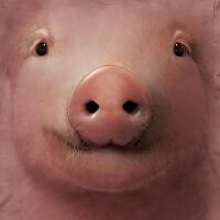 Schweine T-Shirt Pig Face XL