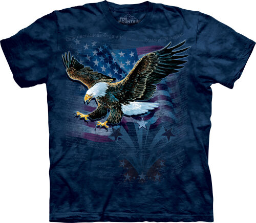 Patriotic T-Shirt Declaration