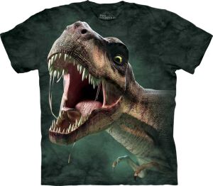 Dino Kinder T-Shirt T-Rex Roar