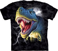 Dinosaurier Kinder T-Shirt Lightning Rex