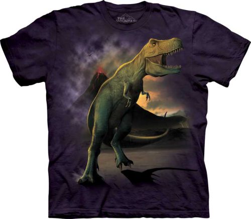 Dinosaurier Kinder T-Shirt T-Rex XL
