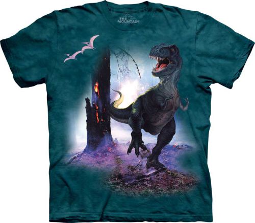 Dinosaurier Kinder T-Shirt Rex XL