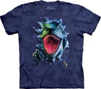 Dinosaurier Kinder T-Shirt Rippin&acute; Rex