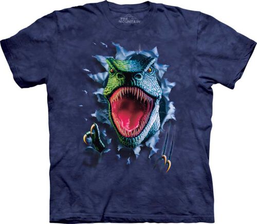 Dinosaurier Kinder T-Shirt Rippin´ Rex S