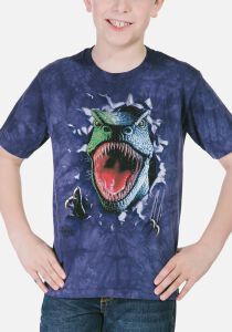 Dinosaurier Kinder T-Shirt Rippin´ Rex S