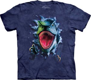 Dinosaurier Kinder T-Shirt Rippin´ Rex L